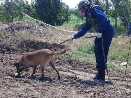 ANAMA: Avqustda 227 ədəd sursat və mina aşkarlanıb - FOTO