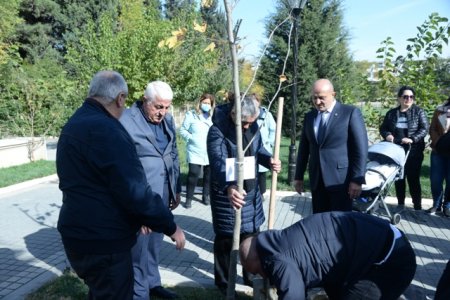 Nəsimi rayonunda Zəfər günü münasibəti ilə səhidlerin  adina parkin acilisi olmus ve ağacəkmə aksiyası keçirilib